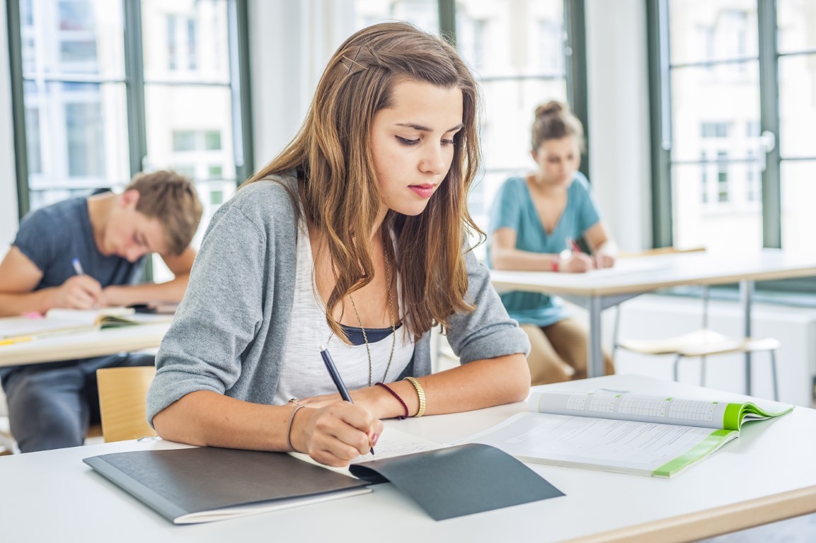 établissement scolaire cagnes-sur-mer