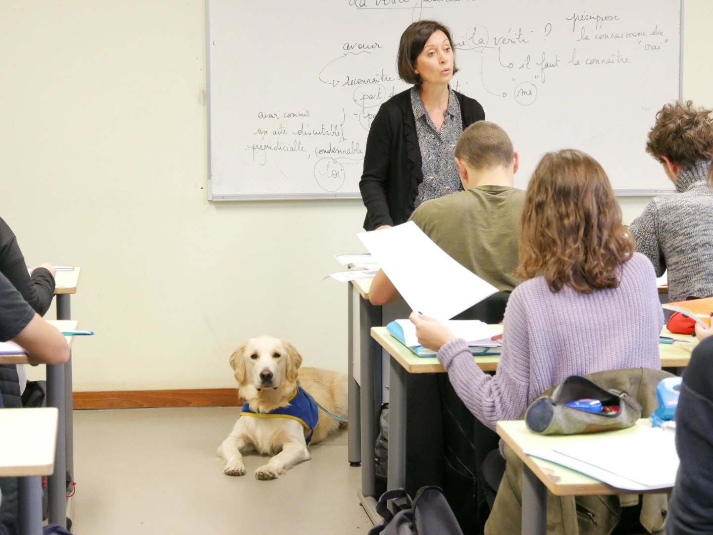 établissement scolaire douai