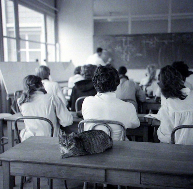 établissement scolaire joué-lès-tours