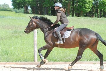 outdoor cambrai