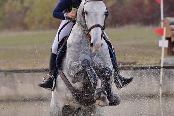 outdoor corbeil-essonnes