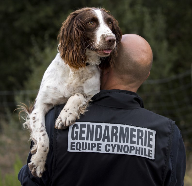 sécurité draguignan