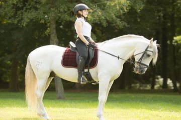 sport à la commune chelles