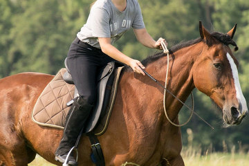 sport à la commune la-roche-sur-yon