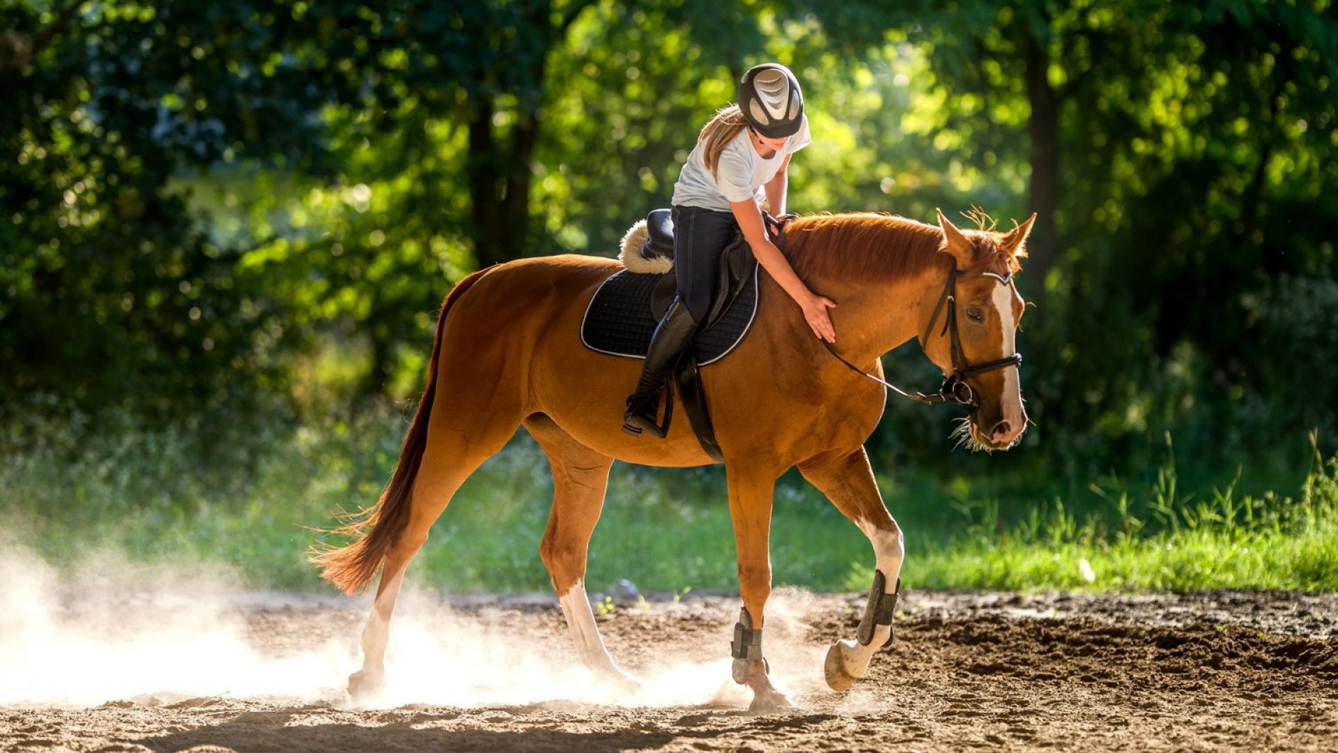 sport à la commune vigneux-sur-seine