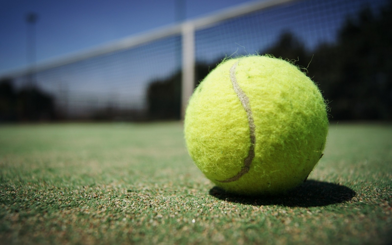 sport en famille asnières-sur-seine